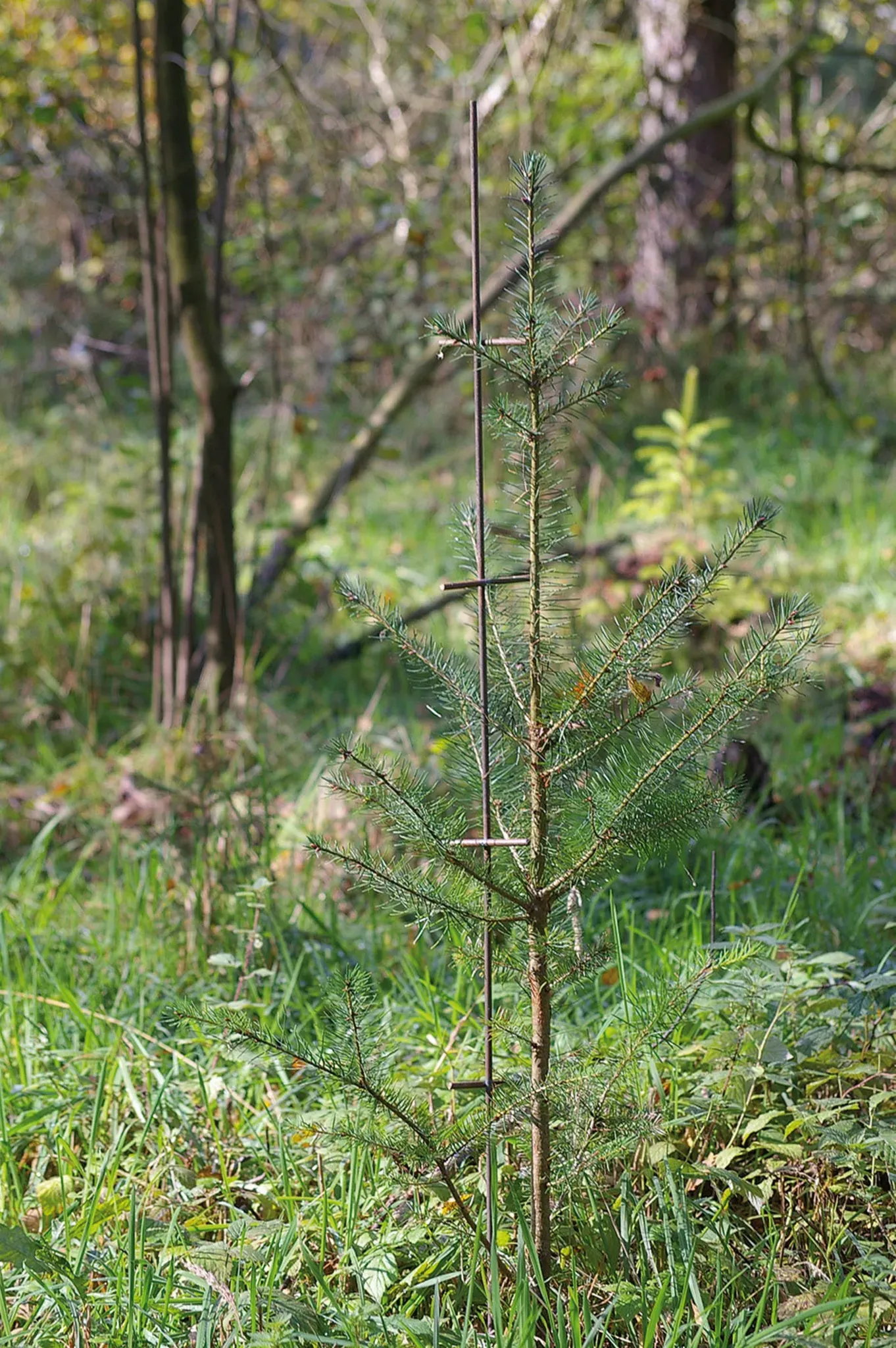 Fegeschutzstab Kärnten 140 cm