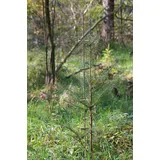 Fegeschutzstab Kärnten 140 cm