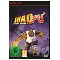 Shaq Fu: A Legend Reborn PC