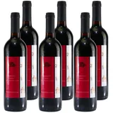 Casalina di Siziano Primitivo IGP -trocken- (6 x 0,75L)
