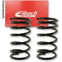 Eibach E20-70-002-01-20