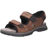 WALDLÄUFER Taro Herren Braun 41