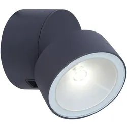 LUTEC Außenleuchte »Trumpet«, 8 W, - grau