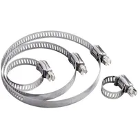 TRU Components Schneckengewindeschelle TC-10330736 Bündel-Ø-Bereich 27 bis 51mm Sechskantschrauben