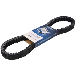 Riemen DAYCO DAYXTX1007