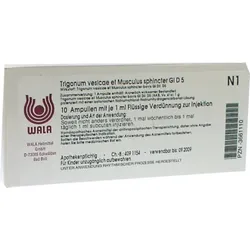 TRIGONUM vesicae et Musculus sphincter GL D 5 Amp. 10X1 ml
