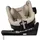 Recaro Toron 1 Kid Reboard Elegant Beige