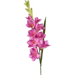Kunstblume GLADIOLUS