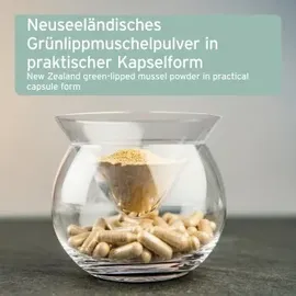 AniForte Grünlippmuschel Kapseln 300 Kapseln