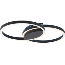 Paul Neuhaus LED-Deckenleuchte 6145-18 1 1500 lm