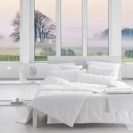 Centa-Star Centa Star Allergo Protect Duo Bett Winterbett (Größe: 155x220 cm)