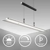 B.K.Licht LED Pendelleuchte 1-flg. 20 W 60 cm schwarz