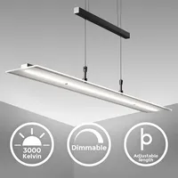 B.K.Licht LED Pendelleuchte 1-flg. 20 W 60 cm schwarz