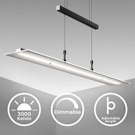 B.K.Licht LED Pendelleuchte 1-flg. 20 W 60 cm schwarz