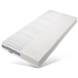 fan ProVita First Class T 100 x 200 cm H3 feuchtigkeitsregulierender Lyocell Bezug