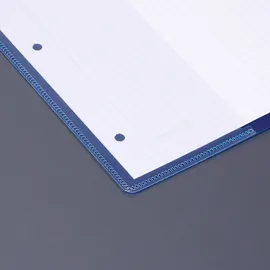 Brunnen Schnellhefter FACT! Kunststoff blau transluzent DIN A4, 1 St.