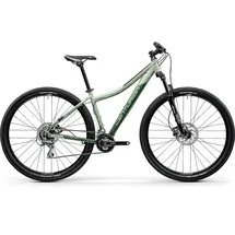 Centurion Backfire Fit Comp 50 29 Zoll RH 43 cm cool mint