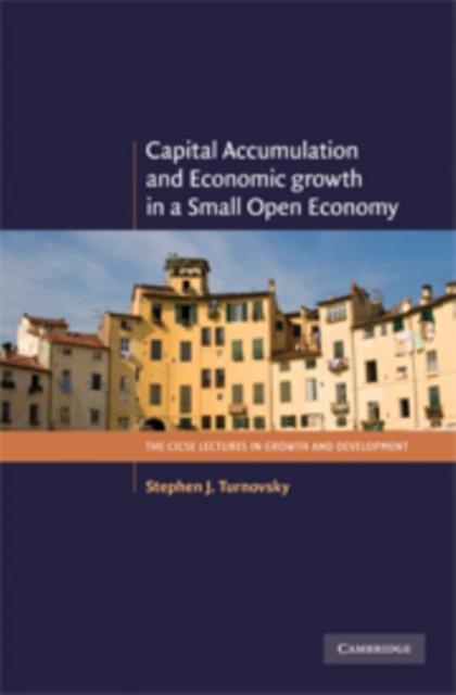 Capital Accumulation and Economic Growth in a Small Open Economy: eBook von Stephen J. Turnovsky