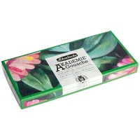 Schmincke Akademie Gouache Farbkasten 12 240 ml
