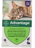 Advantage 80 pour chat et lapin Pipette(S) Unidose(S) 6x0,8 ml