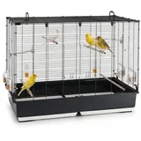 FERPLAST Gabbia Voliera per Uccelli PIANO 7 Gabbia per Uccelli, Canarini, Bengalini, Cocorite, Inseparabili, in Metallo, Accessori inclusi Posatoi Mangiatoie Girevoli, 99,5 x 53 x h 74 cm.