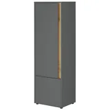 Lomadox Crisp-61 50 x 157 x 40 cm Grau
