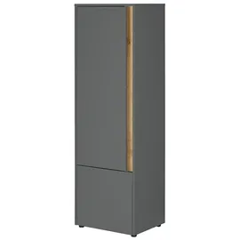 Lomadox Crisp-61 50 x 157 x 40 cm Grau