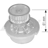 AIRTEX Wasserpumpe