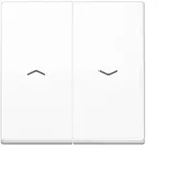 Jung Wippe Symbole aws für Taster AS 591-5 P WW