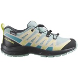 Salomon Xa Pro V8 Cswp Hiking Shoes Grau EU 33