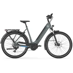 Gazelle Ultimate T10 HMB Grau Modell 2025