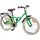 vidaXL Kinderfahrrad 18 Zoll RH 0 cm Grün