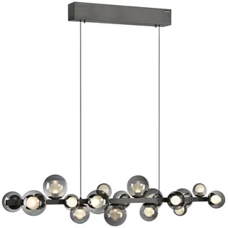 Paul Neuhaus Neuhaus PURE LED-Pendelleuchte E-Popup Alu, Eisen, Stahl & Metall Grau