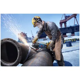 Bosch EXWS30-230PB für 230 mm