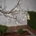 Star Trading LED-Lichterkette Solar 1,8 m Transparent Warmweiß