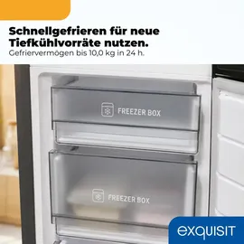 Exquisit KGC5380-115-NF-040C Kühl-Gefrierkombination (377 l, 2005 mm hoch, Inoxlook)