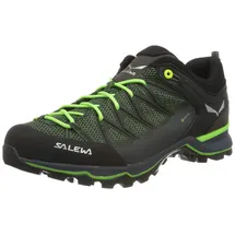 Salewa Herren MTN Trainer Lite GTX Schuhe (Größe 44.5, gruen)