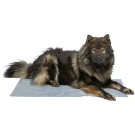 Trixie Kühlmatte 65 x 50 cm blau