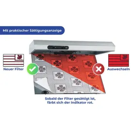 Wenko 2226020100 Flachfilter 2er