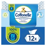 Cottonelle Feuchtes Toilettenpapier Mizellenwasser & Baumwollduft 12x42 St