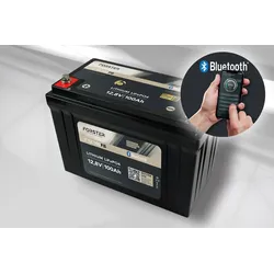 FORSTER 100Ah 12,8V Lithium Fishing Batterie | BMS | Smart Bluetooth |...