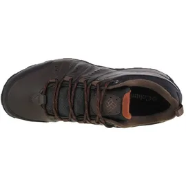 Columbia Woodburn II WP wasserdichte Wanderschuhe für Herren, Braun (Cordovan Cinnamon), 46 EU