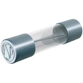 PÜSCHEL FEINSICHERUNGEN FSF6,3B FSF6,3B Feinsicherung (Ø x L) 5mm x 20mm 6.3A 250V Flink -F- Inhal
