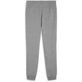 Puma teamGOAL Casuals Pants Damen Grau/Weiß S