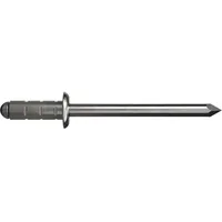 Gesipa Poly Grip Mehrbereichsniete Flachrundkopf 4.0x17 Aluminium mit A2-Dorn