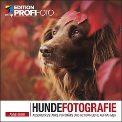 Hundefotografie als Buch von Anne Geier