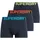 Superdry Trunk Boxershorts Eclipse Navy / Neon M 3er Pack