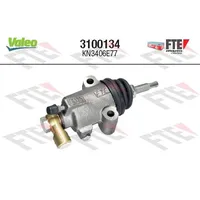 FTE maximal FTE 3100134
