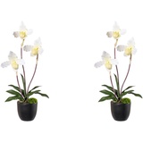 Künstliche Orchidee im Preisvergleich » bei Günstig