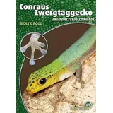 NTV Natur und Tier-Verlag Conraus Zwergtaggecko